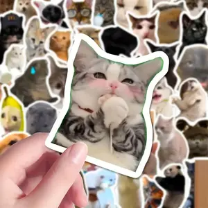 100pcs Funny Cat Meme Stickers, Cute And Funny Cats, Creative DIY Self-adhesive Stickers, Used To Decorate Water Bottles, Laptops, Skateboards, Guitars, Luggage, Helmets, Cameras, Instagram Style Stickers,Cartoon Stickers For Classmates