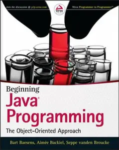 USED-Beginning Java Programming: The Object-Oriented Approach by Baesens, Bart (Paperback)