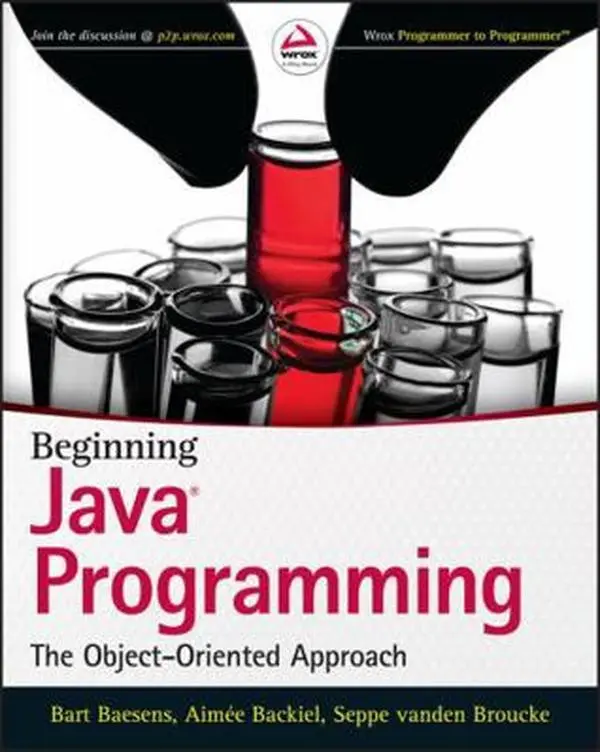 USED-Beginning Java Programming: The Object-Oriented Approach by Baesens, Bart (Paperback)