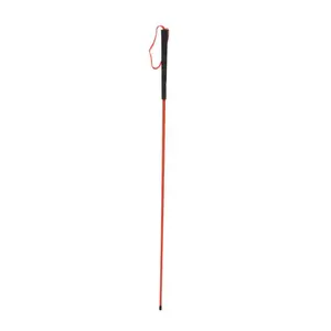 Avery Trainer's Heeling Stick