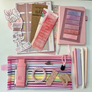 Bible Annotation Bundle - Blush