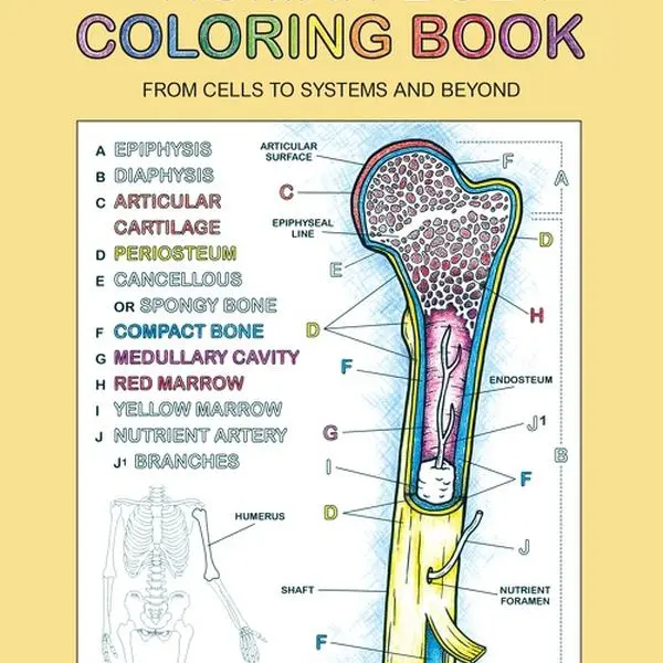 The Human Body Coloring Book: From Cells to Systems and Beyond (Coloring Concepts) by Coloring Concepts Inc. [Paperback Book]