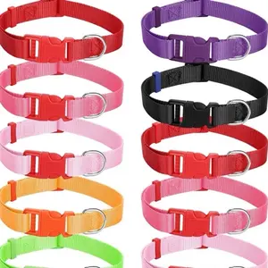 Personalized! Medium Dog Collars- 14"-24" In- High Visibility- dog collar