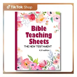 Bible Teaching Sheets- the New Testament: KJV Edition- Book-by-Book Summaries, Key Verses, and Background Information for all 27 books of the New Testament --  Wildrose Media  - Paperback