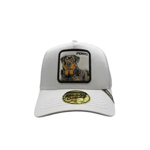 Gorras Perro Ajustables