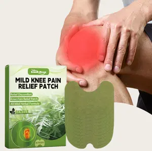 BonePainPatch Thermal Patches 10 Patches Bag for Bone Pain Relief & Muscle Recovery Balm Therapeutic Healing Therapy Healthcare Wellness Treatment
