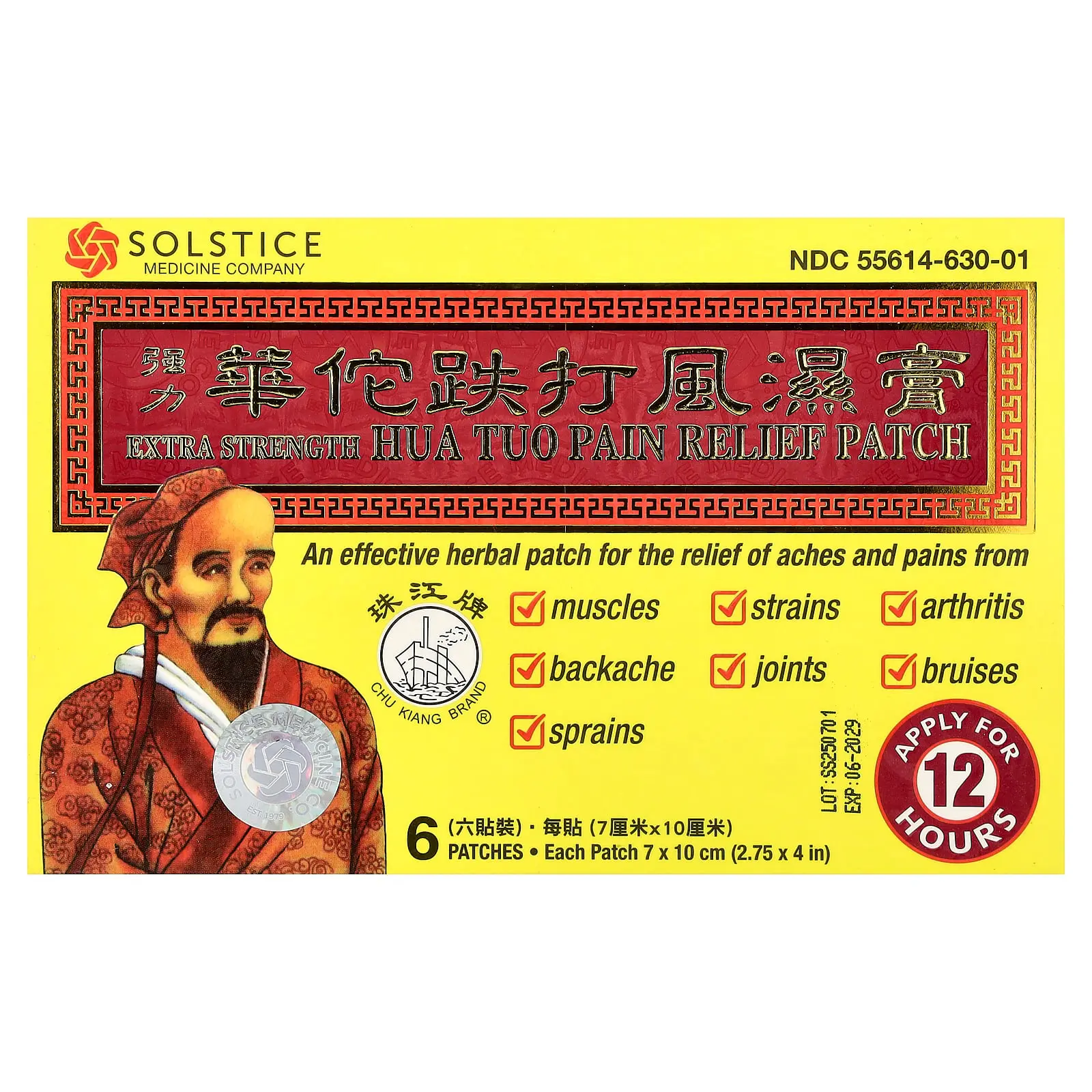 Chu Kiang Brand Hua Tuo Pain Relief Patch, 6 Patches