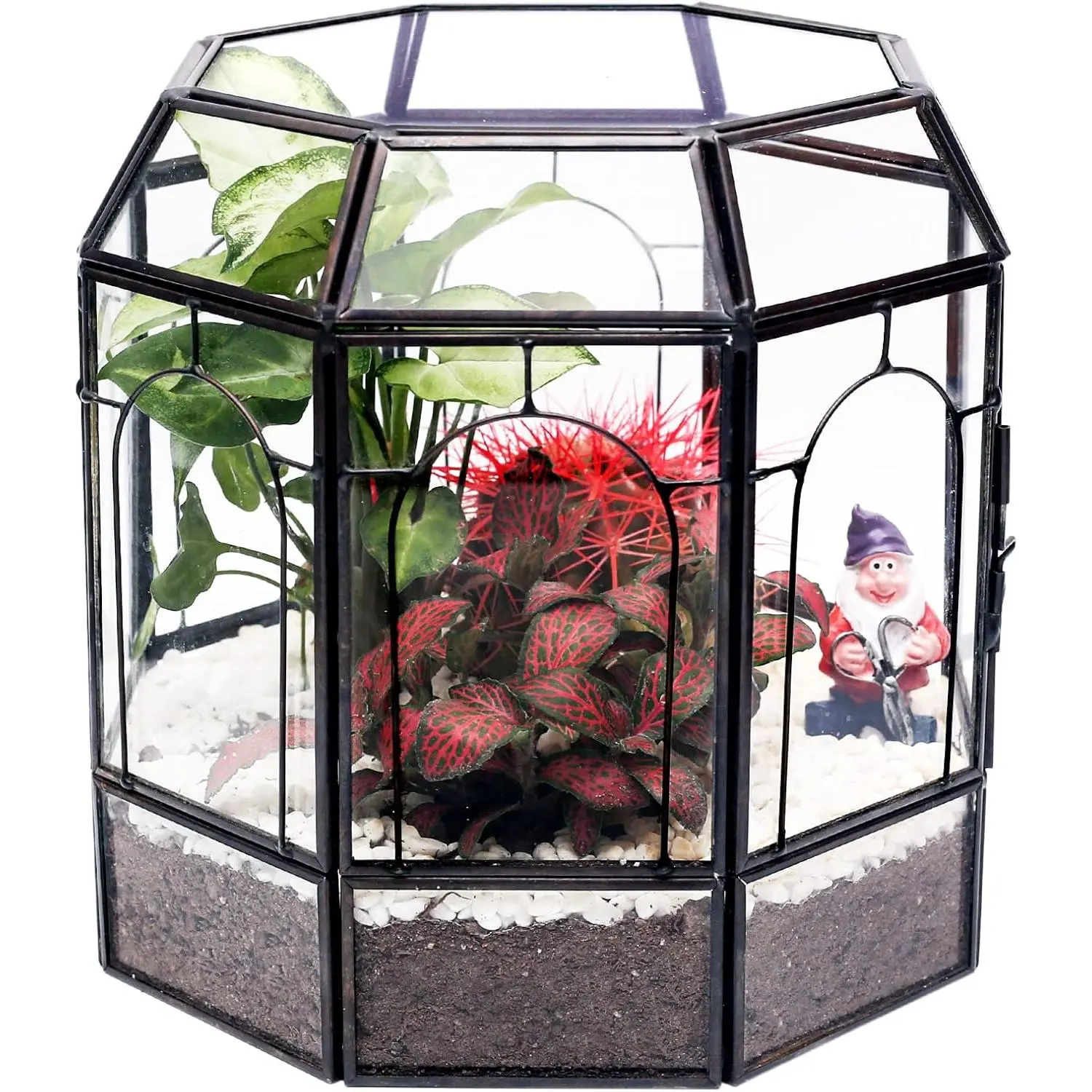 Large Glass Terrarium Handmade, Centerpiece Display Box Gift Planter Containers Indoor Terrariums House for Succulent Cacti Air Plants Miniature Fairy Garden