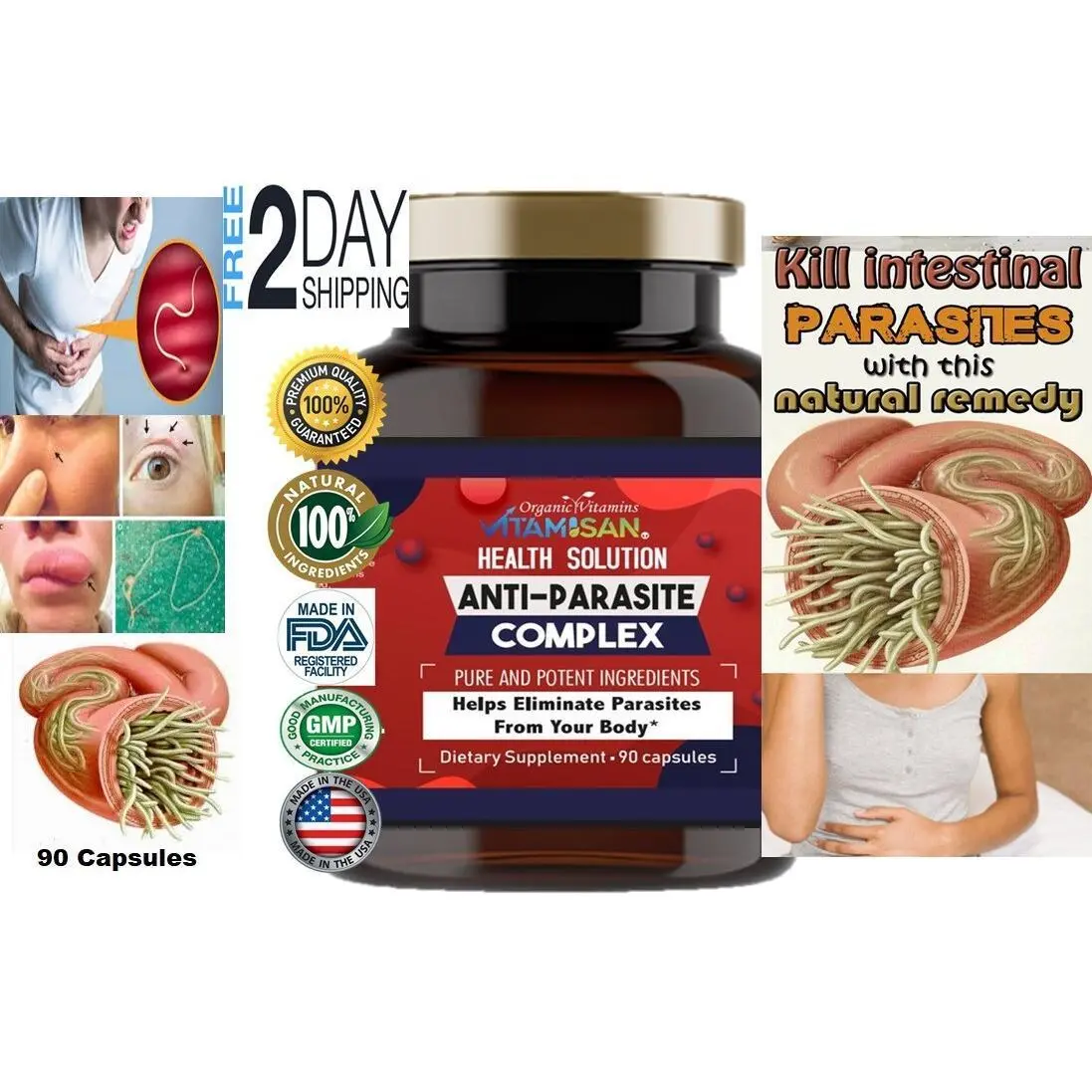 Wormwood Anti Parasite Complex 1500mg support intestinal Health Supplements 90