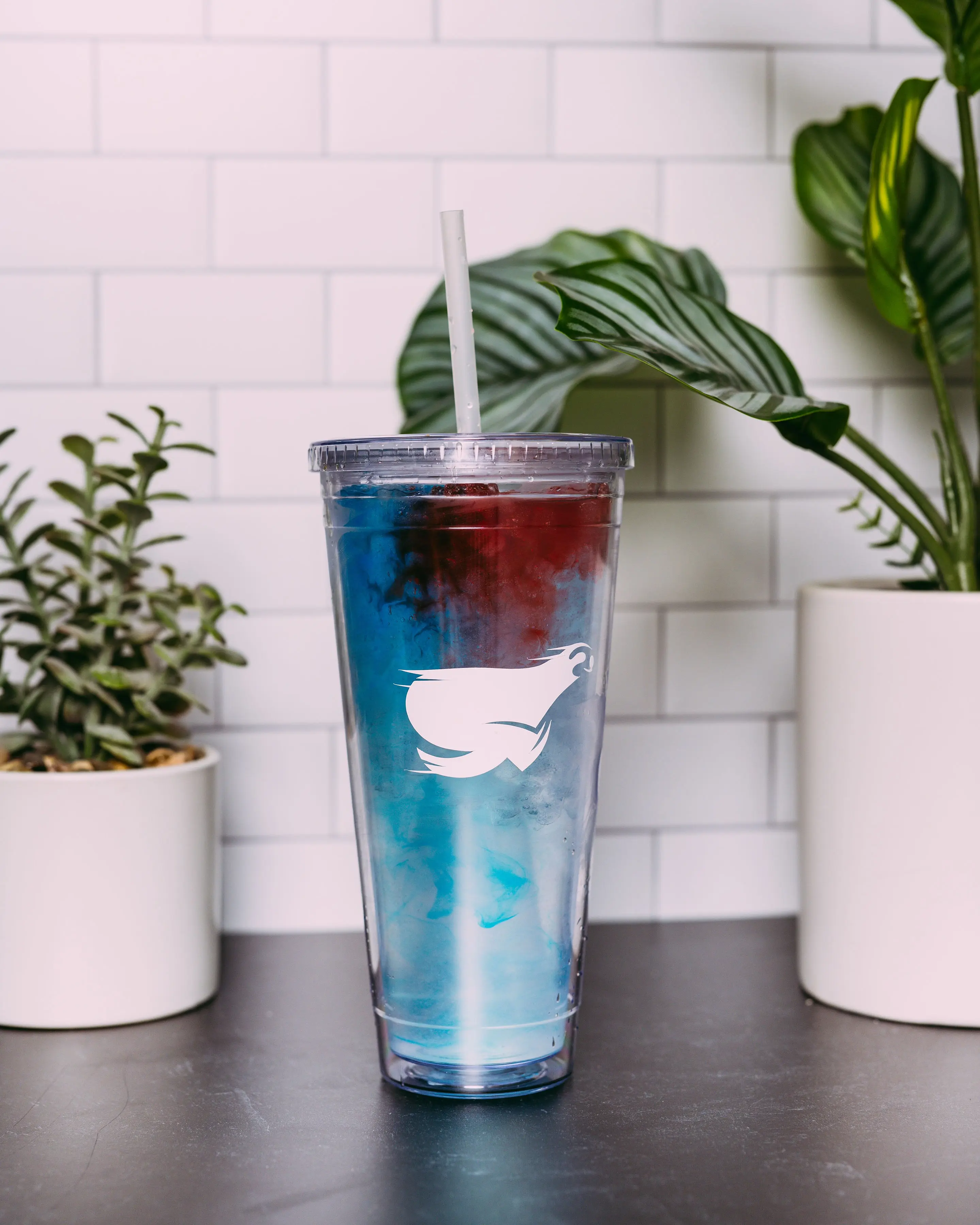Bomb Pop X-Treme Tea | 0 sugar, carbs, or calories | Natural Energy Boost
