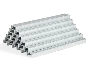 Amazon Basics Standard Stapler Staples, 1/4" Length, 50000 Count, 10-Pack of 5000, Silver - Grapas estándar de Amazon Basics, longitud de 1/4", 50 000 unidades, paquete de 10, 5000, color plateado