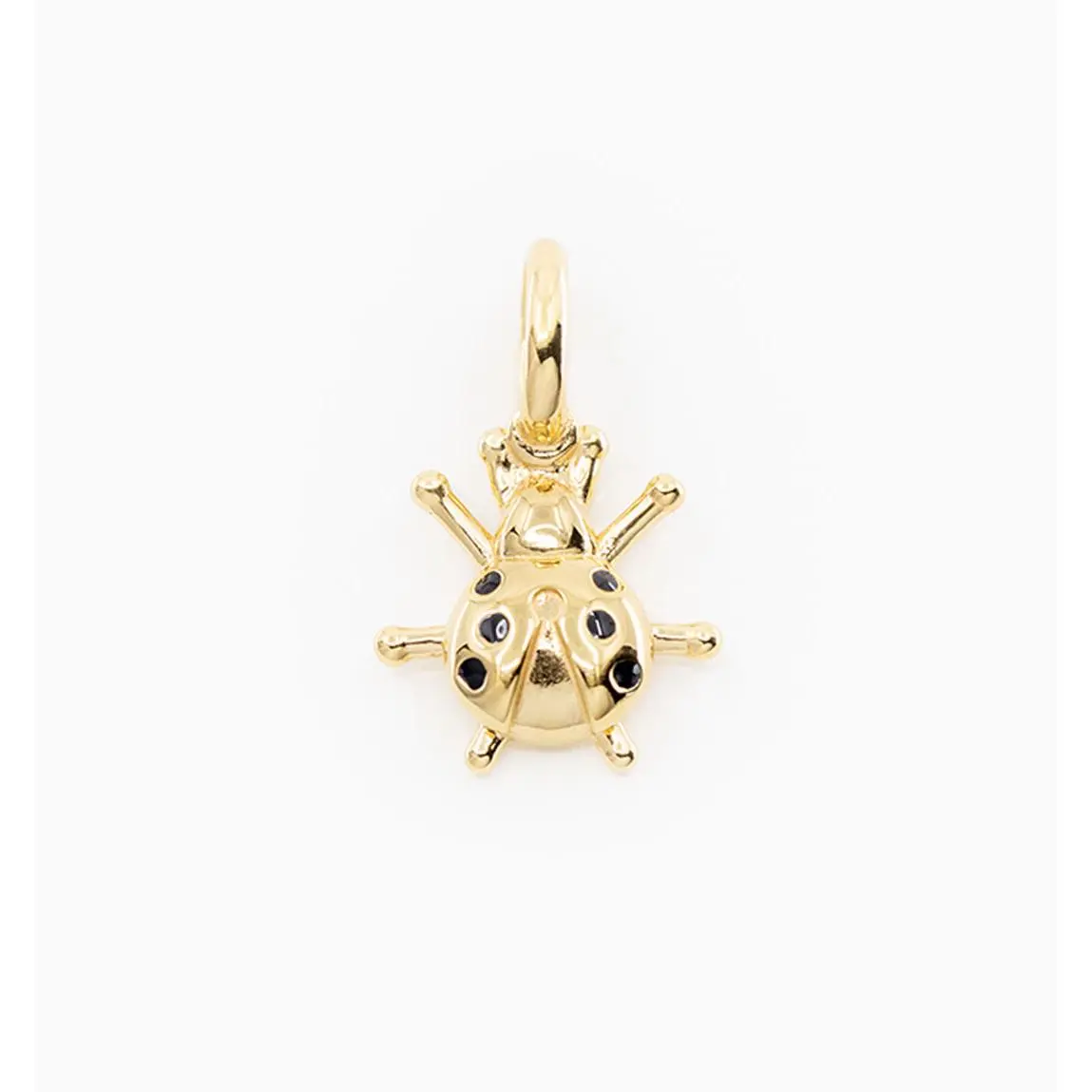 Lady Bug Charm