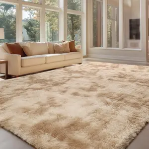 Shag Area Rugs for Bedroom Living Room,Ultra Soft Fluffy Area Rugs for Dorm, Indoor Carpet Nursery Rugs for Kids Room Home Decor, Shaggy Area Rugs, Super Soft Rug