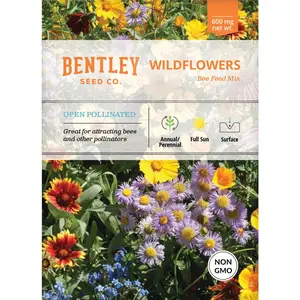 Wildflower Seed Packets - All Seasons Annual/Perennial Flowers, Bee Attractant Bee Feed Mix for Garden Borders