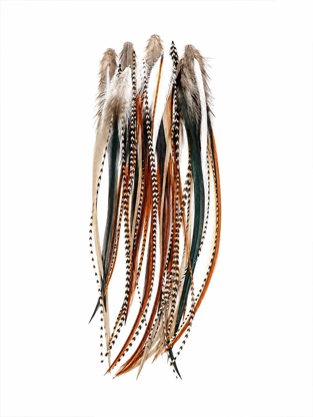 Feather Hair Extension – Natural Beige & Brown Loose Feathers (25) 8–12 Inches, Includes 10 Silicone Micro Beads