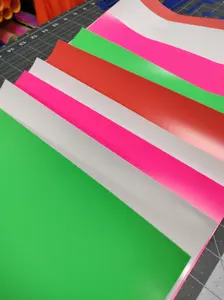 VTS Super Pop 700 Heat Transfer Vinyl 10 Color Bundle Thick HTV 3D Foam 2 Tone 12x9.75 Inch Sheets for Cricut & Vinyl Projects