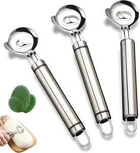 3pcs Stainless Steel Kitchen Tool Set - Cactus and Rouge Peeler, Kitchen Professional Tools-Multi-Functional Spoon-Shaped Noodle Cutter, Easy-to-Use for Home and Restaurant Use