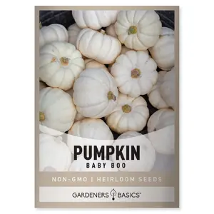 Baby Boo Pumpkin Seeds