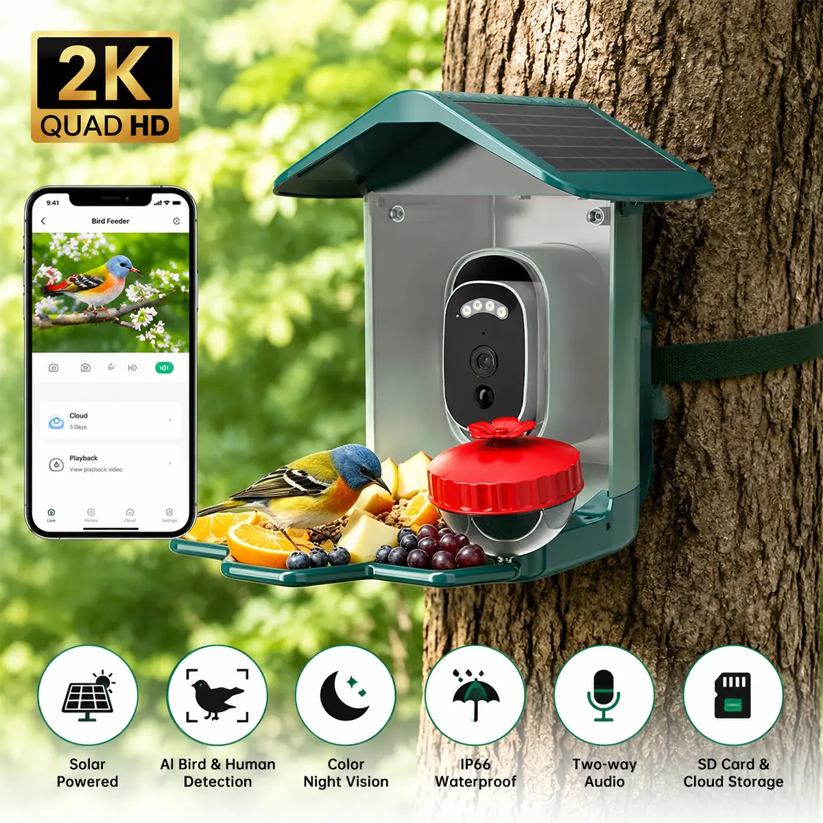 【JOOAN 2.5K HD Solar Smart Hummingbird Feeder Camera 】with AI Bird Recognition, HD Night Vision, IP66 Waterproof, Anti-Ant & Anti-Bee Design, Auto Photo Capture with Instant Alerts, Ideal for Outdoor Gardens & Patios, Perfect Gift for Bird Lovers