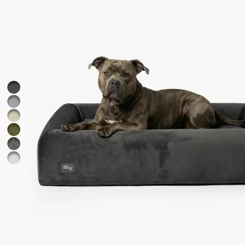 Dog Friendly Co. Orthopedic Puppy Bed - Dual-Layer Memory Foam, Supportive Cushion, Minimalist Solid Colors, Washable Water-Resistant Cover, Non-Slip Base, Multi-Size Single Unit (Small to Large)