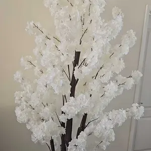 review image 9