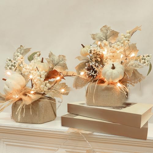 2-Pack 11in Silk Fall Decor Tabletop Trees Centerpieces - Battery-Operated Lights with Timer, Dry Battery Power, Neutral White Maple Leaves, Pumpkins, Pinecones, Berries for Dining Table, Mantel, Decorations Set, Fall Decor For Home