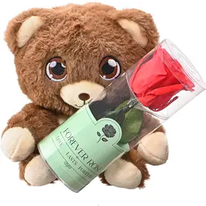Teddy Bear with Real Rose Gift – Plush Bear with Hidden Pocket for Gifts – Romantic Gift for Valentine, Birthday & Anniversary