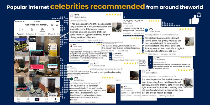 Geoorood Automatic Pet Feeder with Camera, 1080P HD Video , 2.4G WiFi Pet Feeder with 2-Way Audio, 4L Large Capacity, Dual Bowl Design for Cats and  Dogs