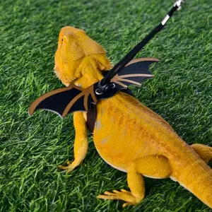 Lizard Leash Leather Wings Chest Harness, Chameleon Squirrel Pet Lead, Small Animal Outdoor Gear, Reptile Accessories