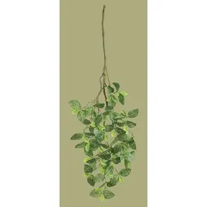 37" Fittonia Spray
