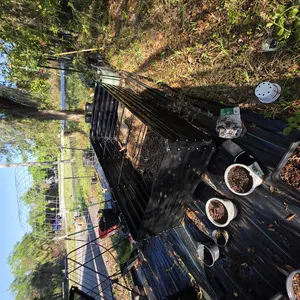 YITAHOME 1/2 pcs Raised Garden Bed Kit, with Gloves & Tension Bar, Outdoor Patio Planter Box for Plants Vegetables Flowers