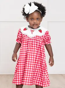 Gingham Berry Charm Embroidered Dress