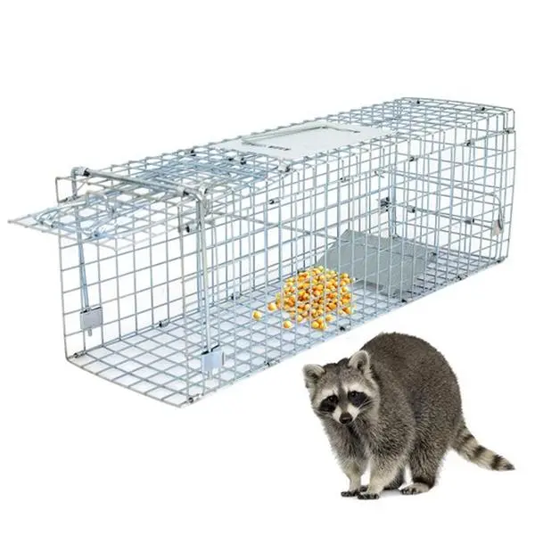 Zenstyle Humane 24'' Steel Animal Trap, Home Pest Control Indoor Trap for Small Live Rodent, Rat, Squirrel, Indoor Traps
