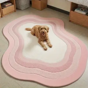 1pc Simple Special-shaped Irregular Living Room Decorative Rug Korean Style Lounge Carpet Cute Pink Bedroom Bedside Carpet Cloakroom Study Fluffy Soft Carpet Non-slip Washable Floor Mat Machine Washable Rug