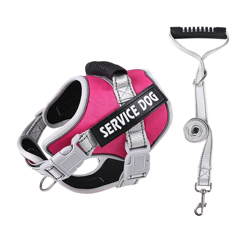 Rose Red [Harness + Leash]