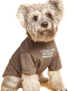 Cute Dog Clothes, T Shirt for Medium Dogs Clothes for Small Dogs Girl Boy,Puppy.Breathable Soft Dog Costume Pet Cats, Pet Pullover Jumper, Cat Clothes