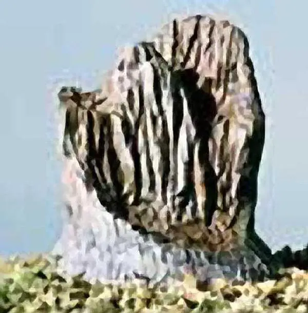 Woodland Scenics S32 N/HO Broken Tree Stumps (14) Train Scenery