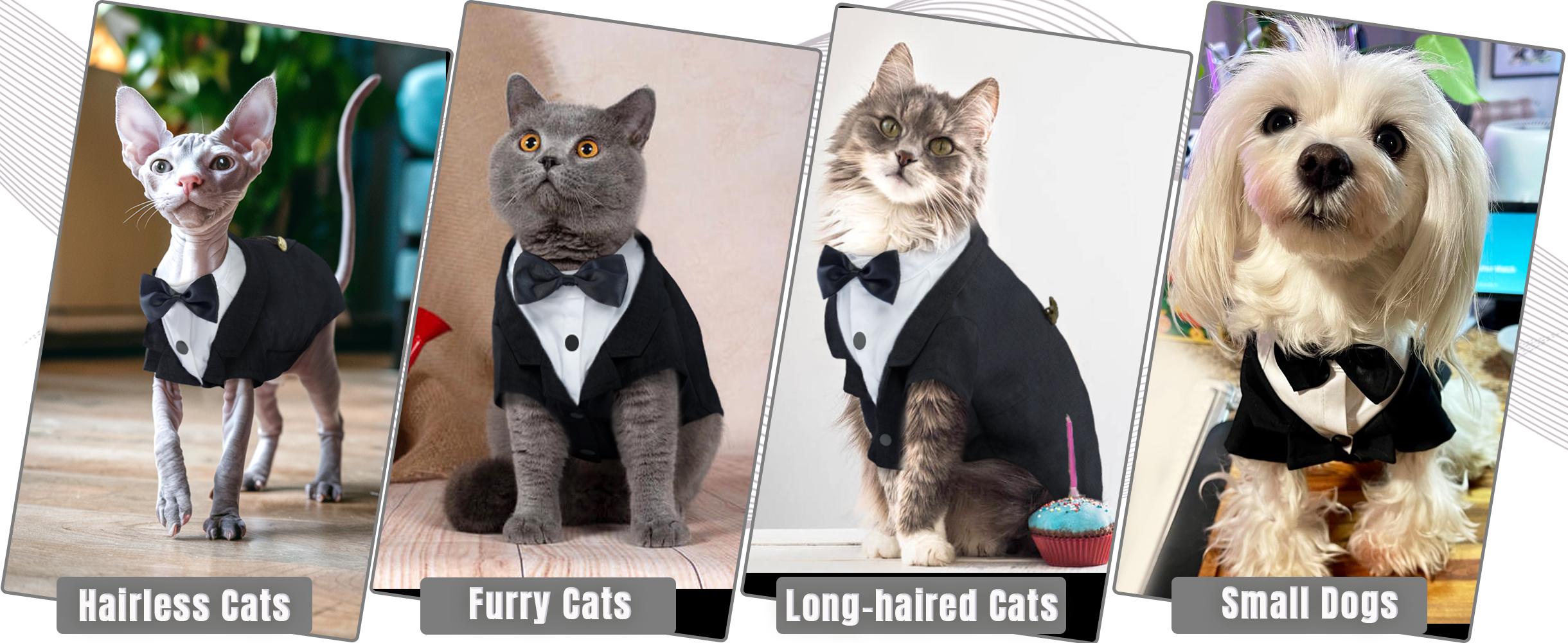 Cat Tuxedo Formal Suit - Sphynx & Kitten Apparel with Bow Tie, Stylish Shirt Onesie for Wedding Events (Cats Only)