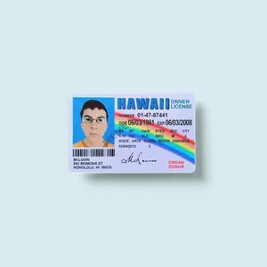 Vinyl Card Cover Universal size "Mc lovin"