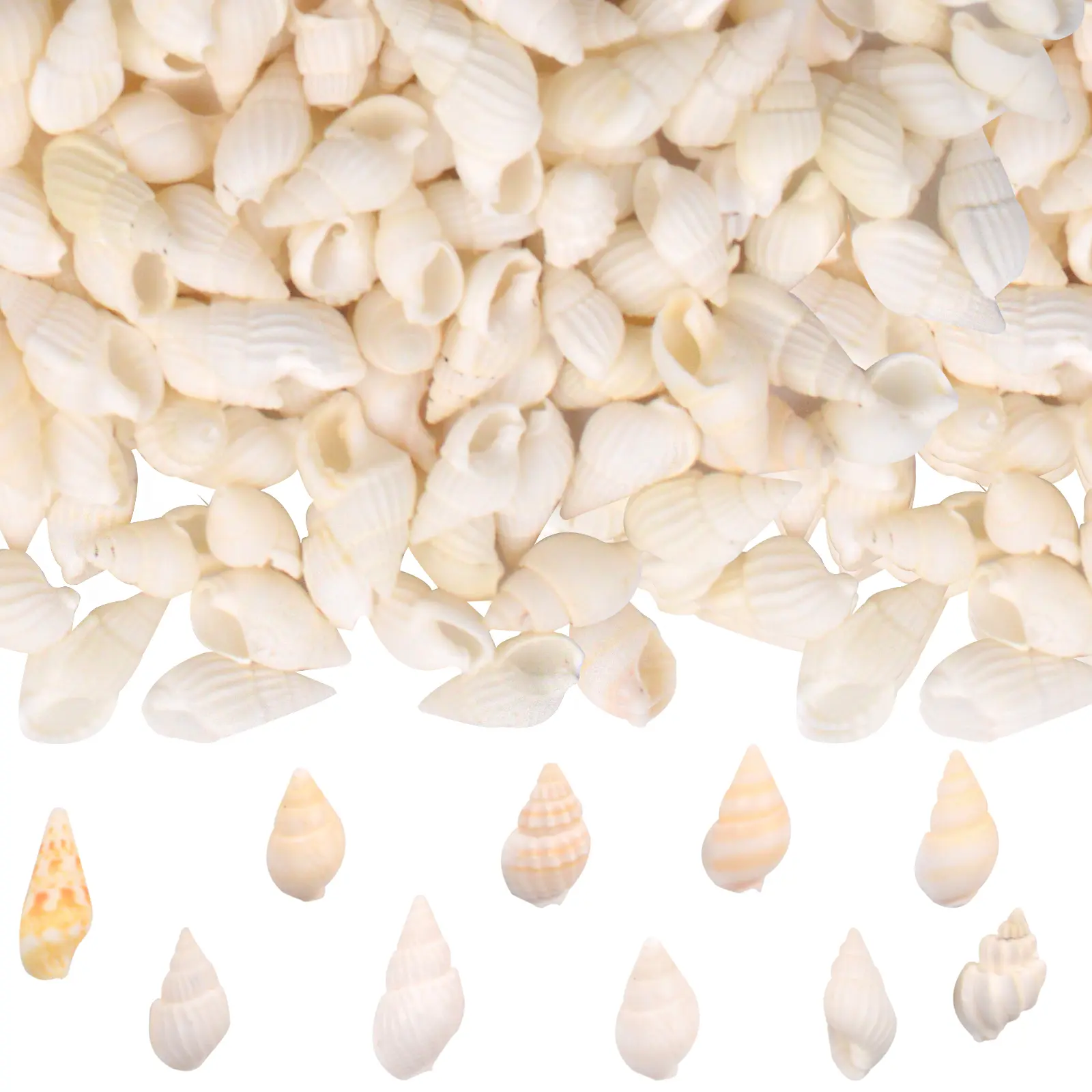 About 1200pcs(200g) White Mini Natural Conch Sea Shells Beach Spiral Seasnail Shell Fish Tank Beach Microscape Ornaments for Vase Fillers Ocean Themed Party Wedding Home Decor