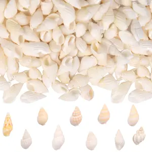 About 1200pcs(200g) White Mini Natural Conch Sea Shells Beach Spiral Seasnail Shell Fish Tank Beach Microscape Ornaments for Vase Fillers Ocean Themed Party Wedding Home Decor