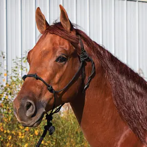 Dura-Tech Rope Control Halter w/13.5 Lead