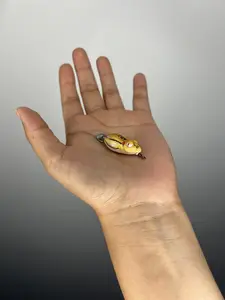 Peanut soft frog