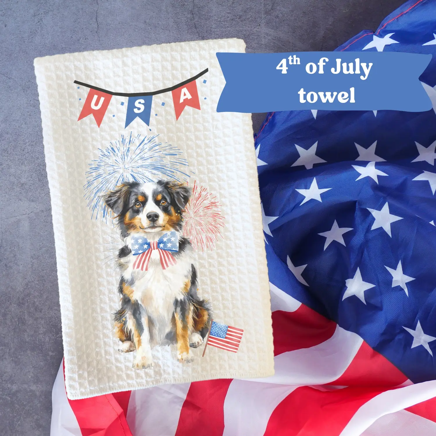 Australian Shepherd #2