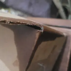 M3 Naturals Cellulite Massage Oil 8oz - Smooth the Appearance of Cellulite - Body Care & Skin Care Massage Oil - Topical Collagen and Plant Stem Cell Body Oil to Restore Texture and Elasticity - Soothing Body Oil