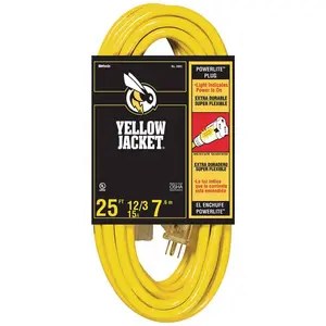 25 ft. 12/3 Outdoor Heavy-Duty Extension Cord with Power Light Plug