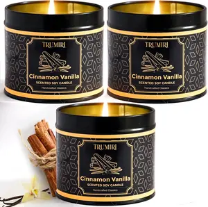 Vanilla Candle with Cinnamon Strong Scented Soy Candel Clean Non Toxic Velas Aromáticas for Women Gift for Fall Christmas Holidays Pack of 3 5Oz Decorative Tin Jars with Lids
