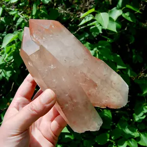 6.5in 2.2lb Record Keeper Soulmate Tantric Twin Pink Shadow Smoky Lemurian Seed Quartz Crystal Starbrary, Brazil
