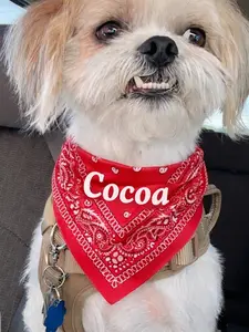 Personalized [Random] Paisley Pet Bandana