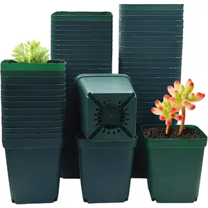 Square  Succulent Pots 4 Inches 60 count Deep Flower   Seedling Grow Pots Plastic with Drainage (Green, 4Inches, 60 count)
